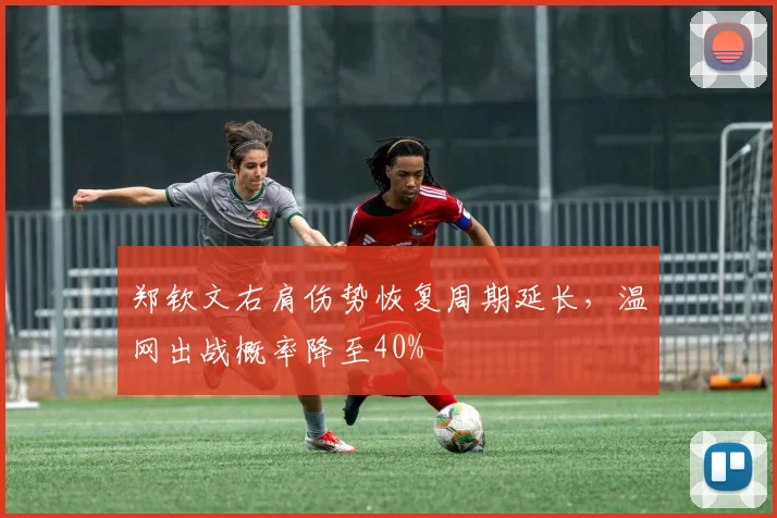 郑钦文右肩伤势恢复周期延长,温网出战概率降至40%